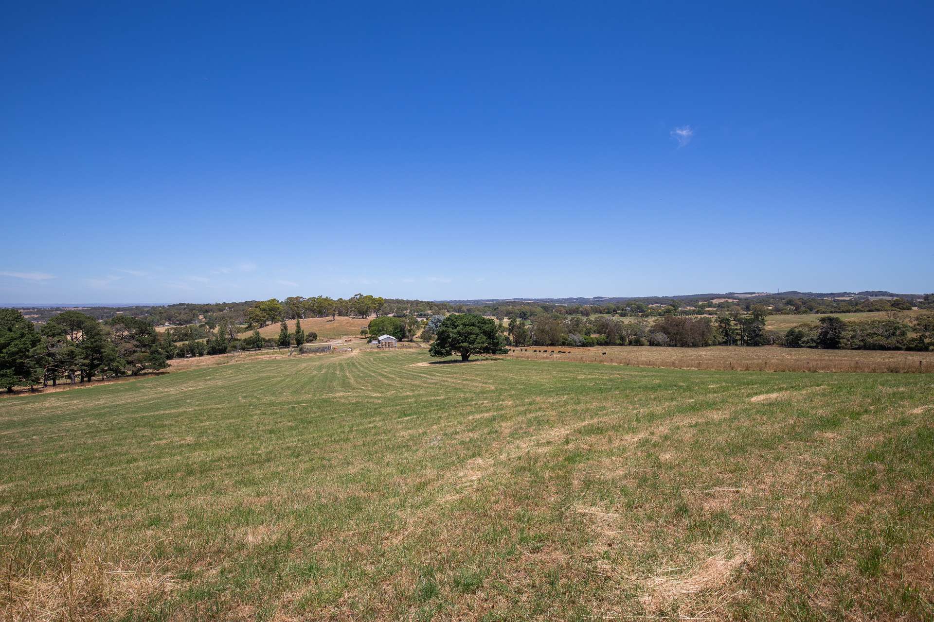 315 Bugle Range Road, Macclesfield For Sale by Farmbuy.com - image 31