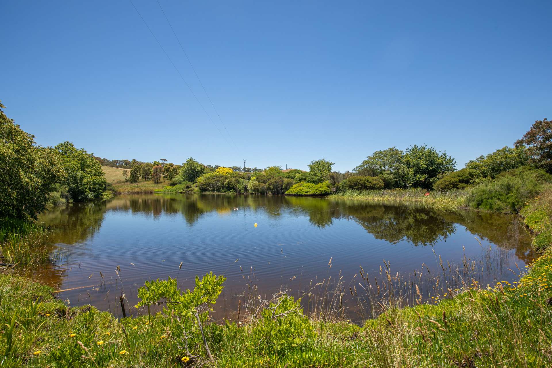 315 Bugle Range Road, Macclesfield For Sale by Farmbuy.com - image 29