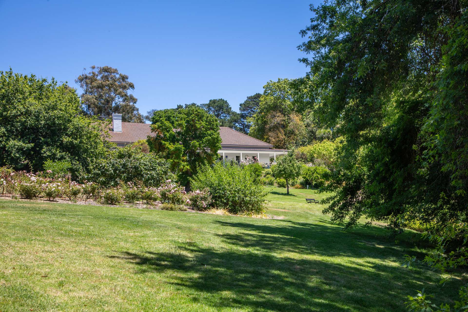 315 Bugle Range Road, Macclesfield For Sale by Farmbuy.com - image 17
