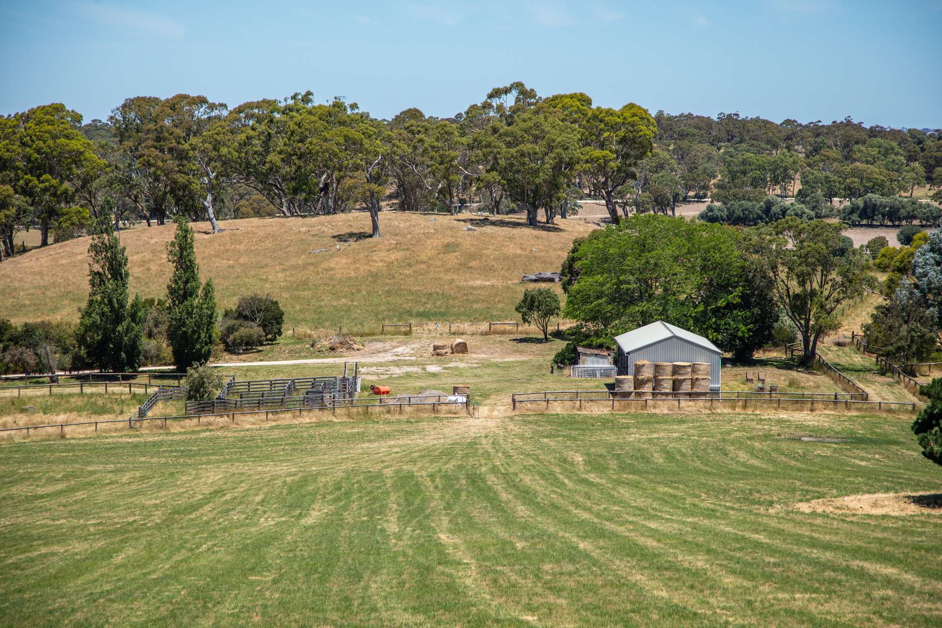 315 Bugle Range Road, Macclesfield For Sale by Farmbuy.com - image 18