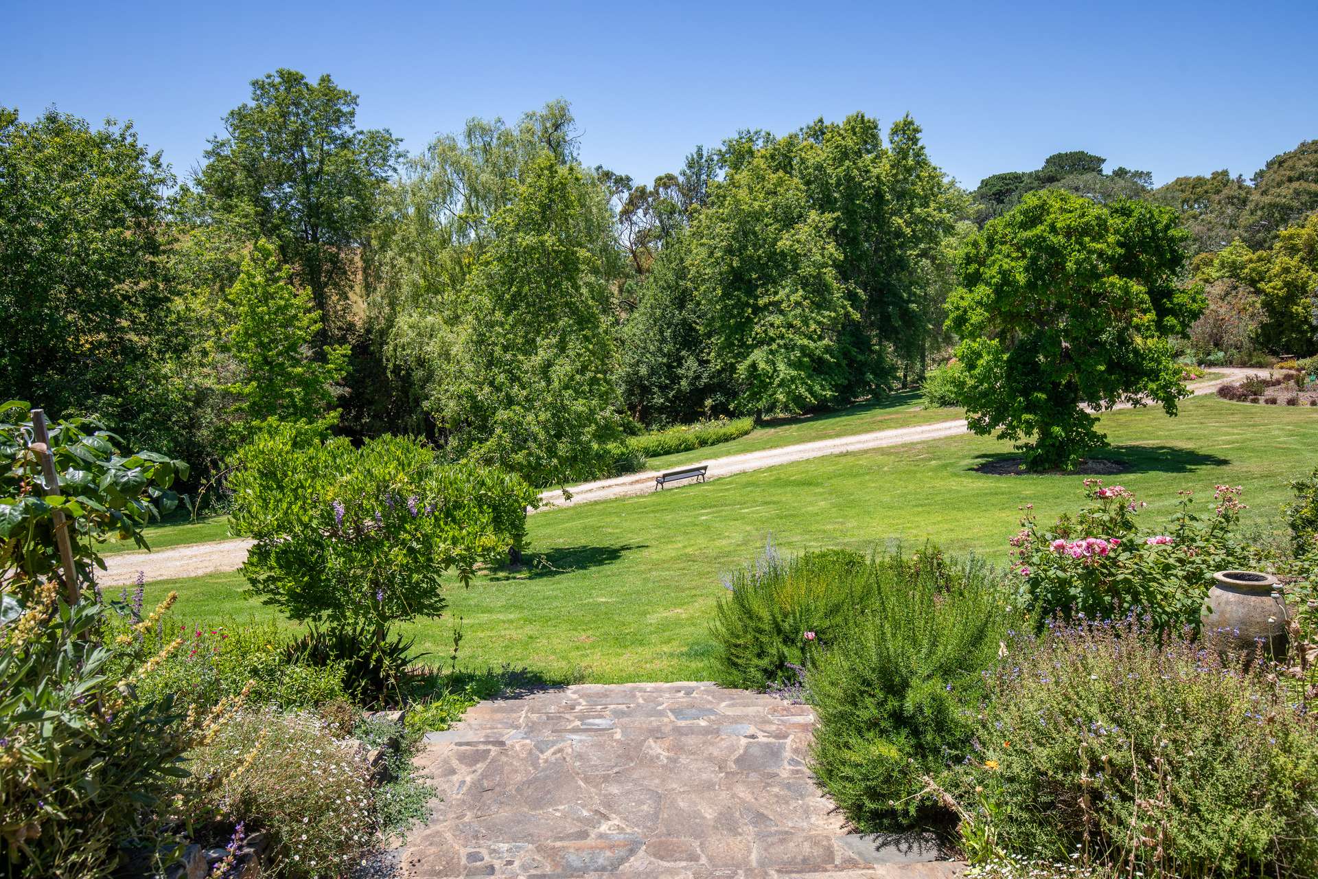 315 Bugle Range Road, Macclesfield For Sale by Farmbuy.com - image 19