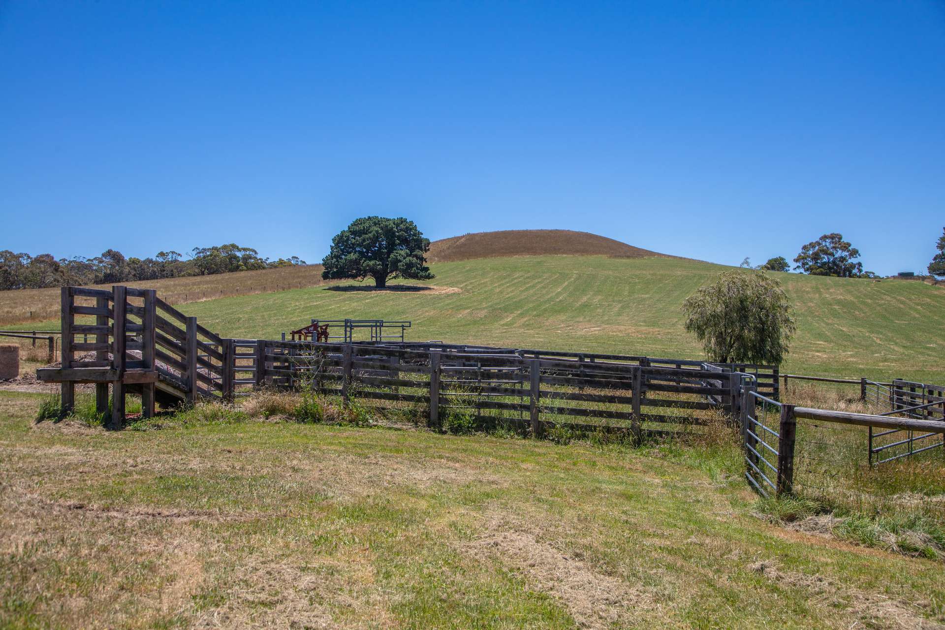 315 Bugle Range Road, Macclesfield For Sale by Farmbuy.com - image 30