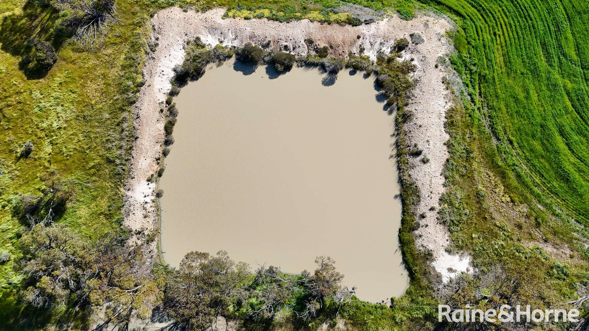 1417 Poverty Lane, Salmon Gums For Sale by Farmbuy.com - image 10