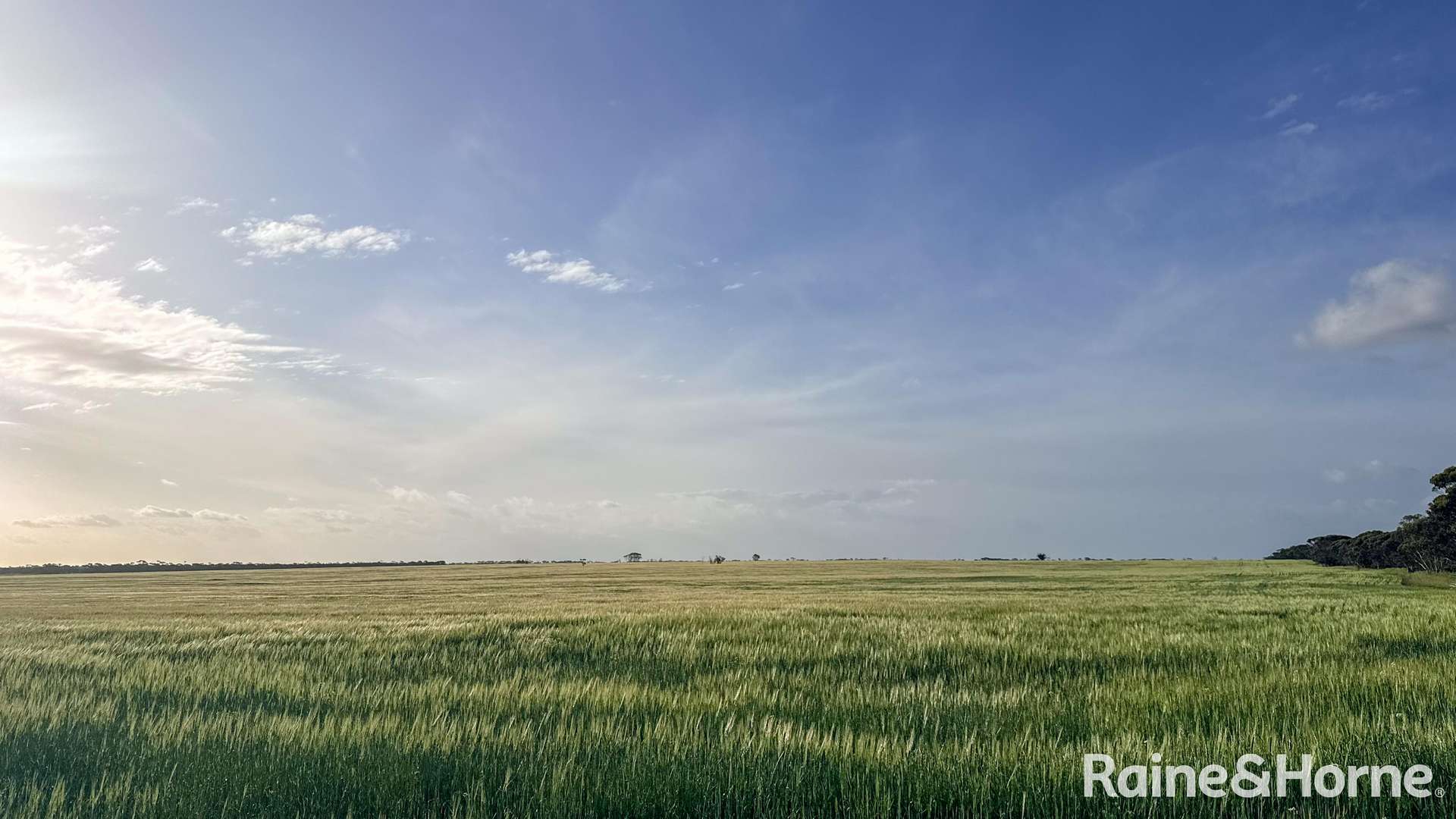 1417 Poverty Lane, Salmon Gums For Sale by Farmbuy.com - image 1