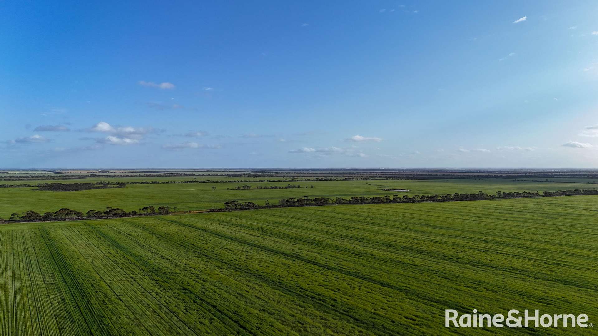 1417 Poverty Lane, Salmon Gums For Sale by Farmbuy.com - image 24