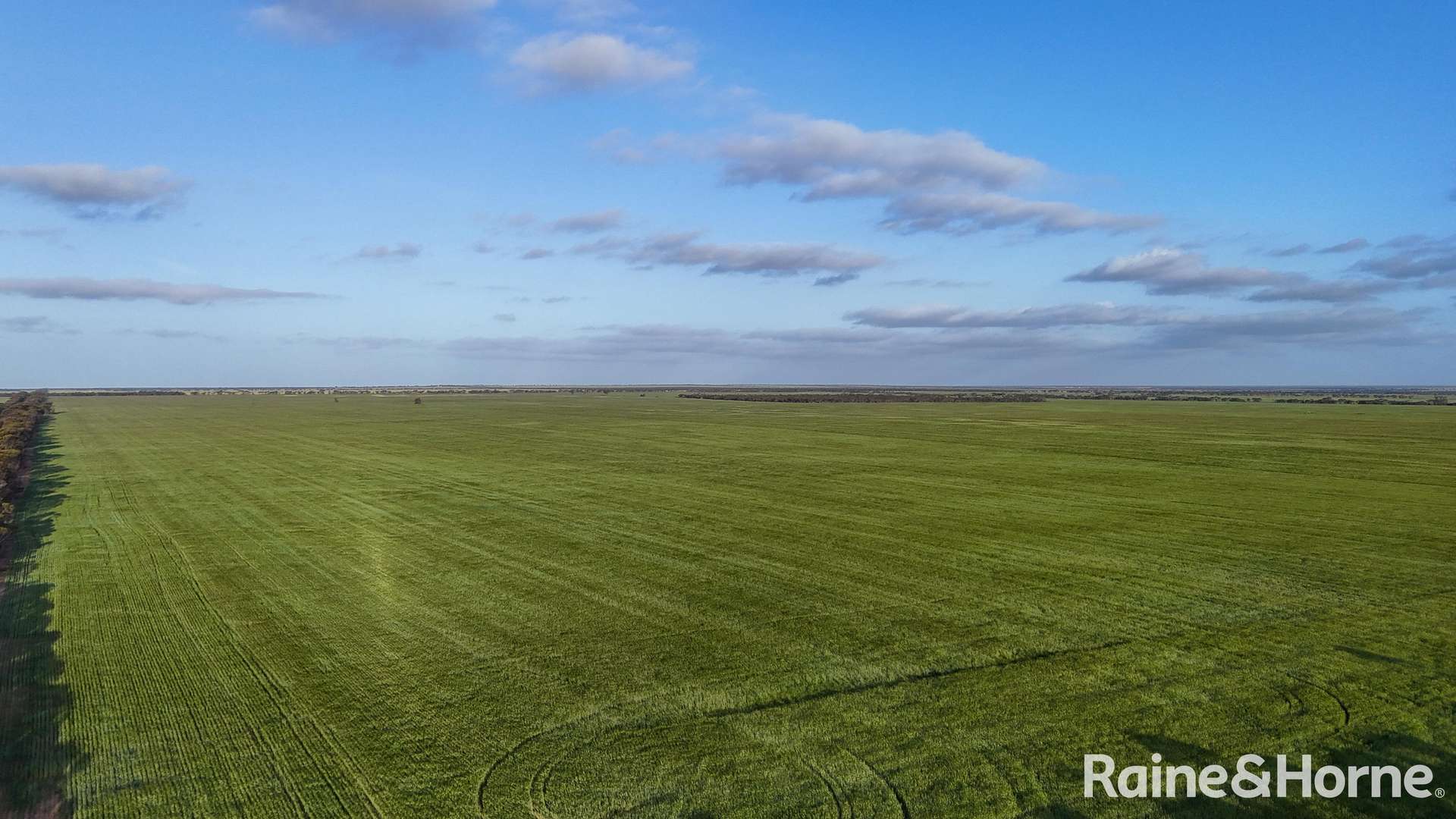 1417 Poverty Lane, Salmon Gums For Sale by Farmbuy.com - image 31