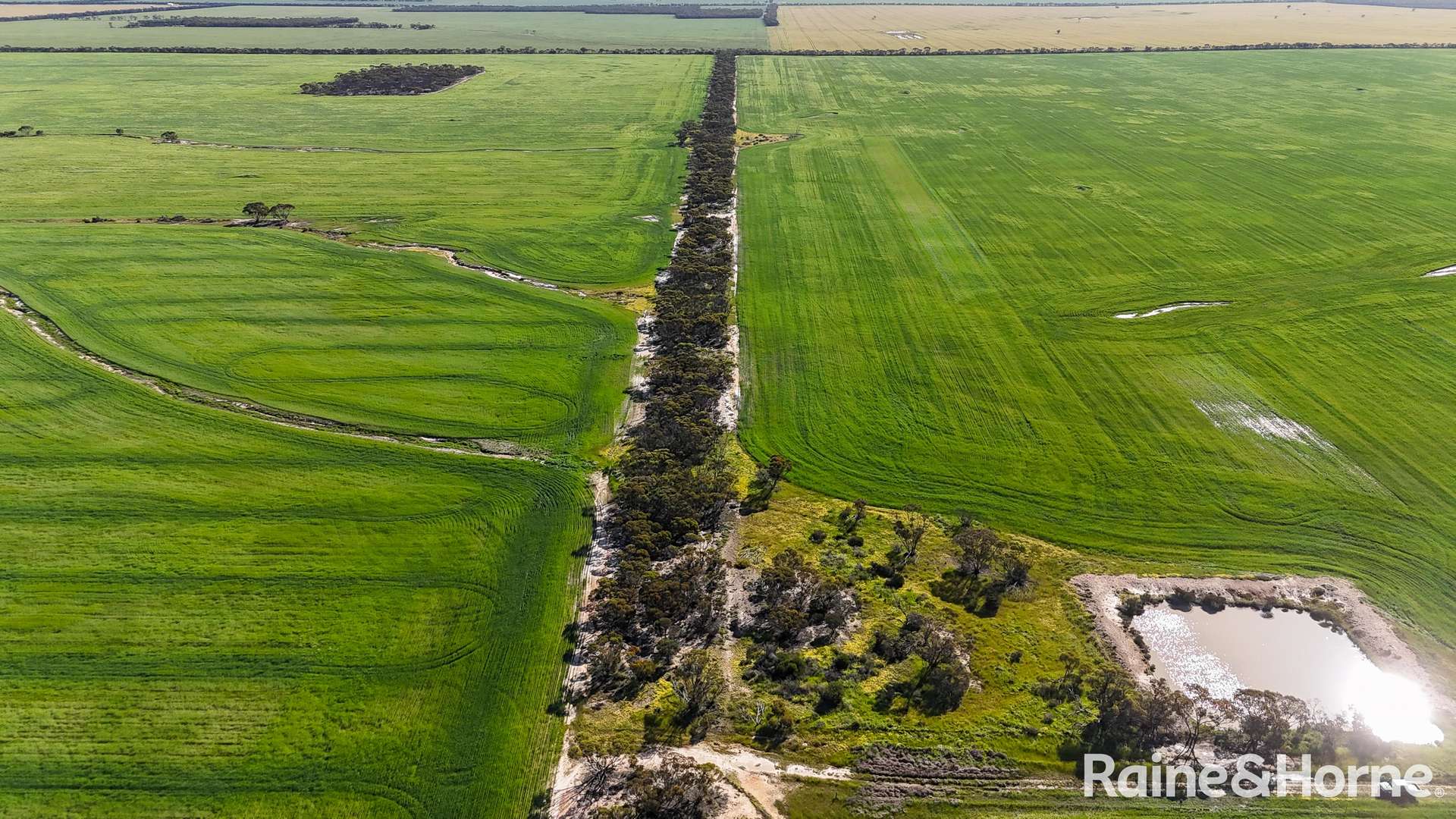 1417 Poverty Lane, Salmon Gums For Sale by Farmbuy.com - image 8