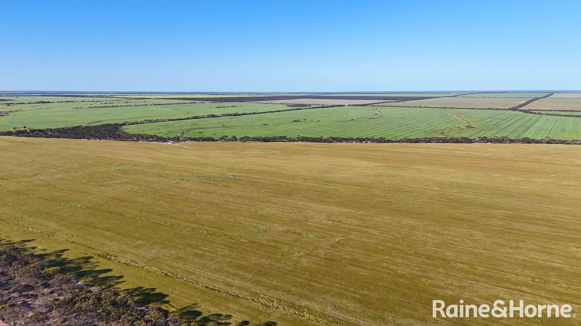 1417 Poverty Lane, Salmon Gums For Sale by Farmbuy.com - image 21