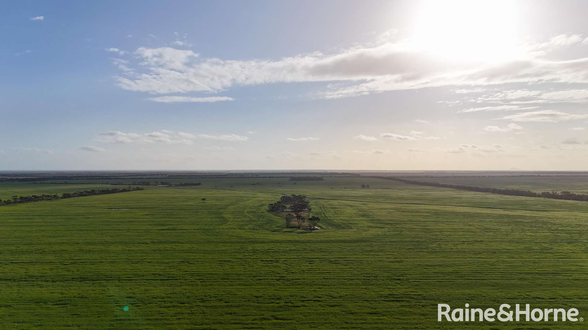 1417 Poverty Lane, Salmon Gums For Sale by Farmbuy.com - image 22