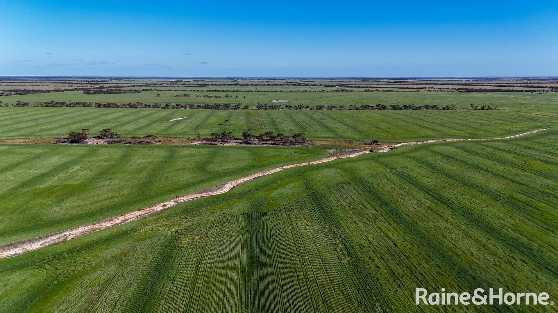 1417 Poverty Lane, Salmon Gums For Sale by Farmbuy.com - image 12