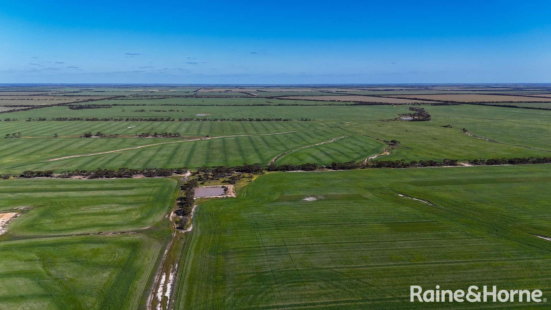 1417 Poverty Lane, Salmon Gums For Sale by Farmbuy.com - image 6