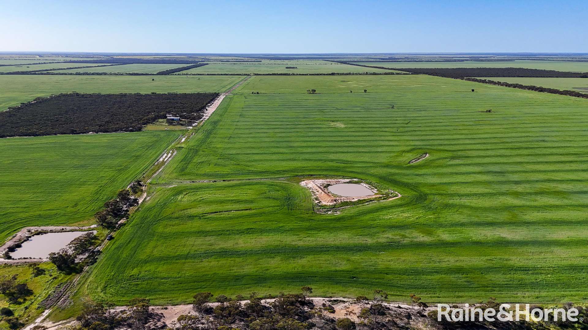 1417 Poverty Lane, Salmon Gums For Sale by Farmbuy.com - image 11