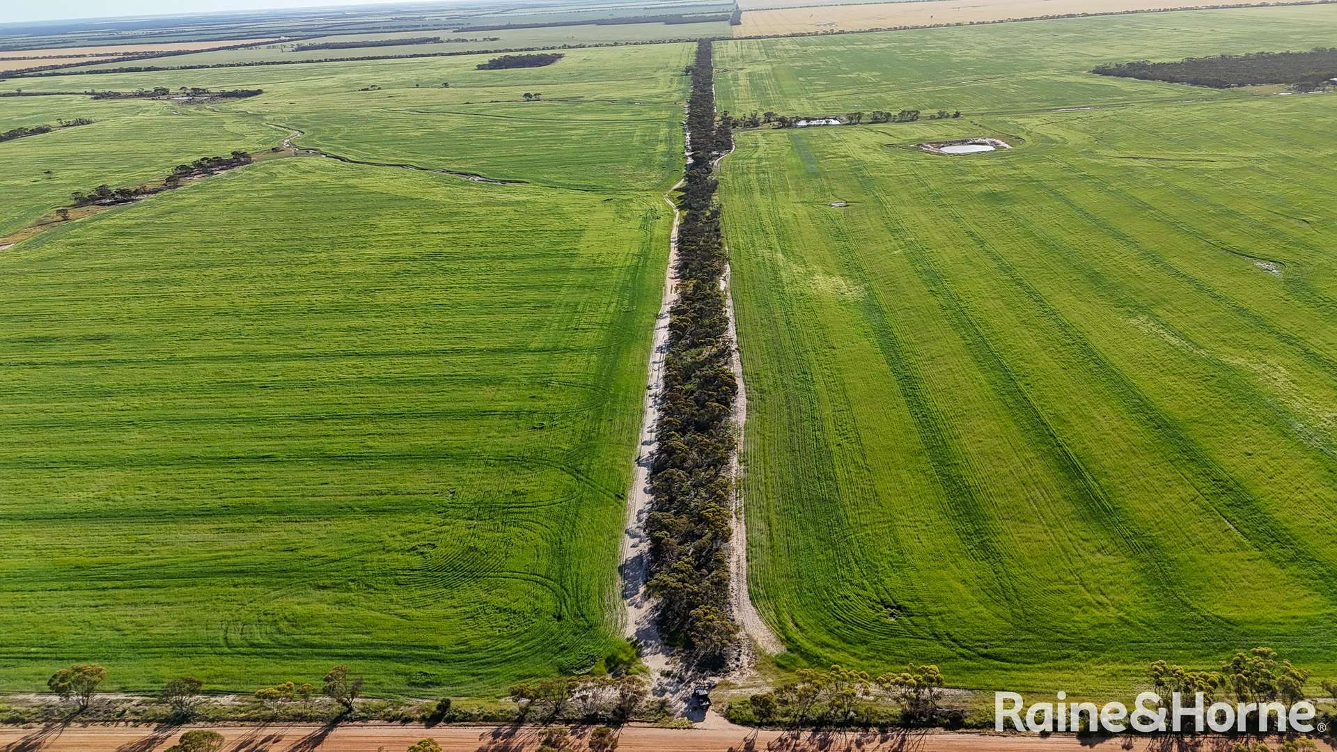 1417 Poverty Lane, Salmon Gums For Sale by Farmbuy.com - image 13