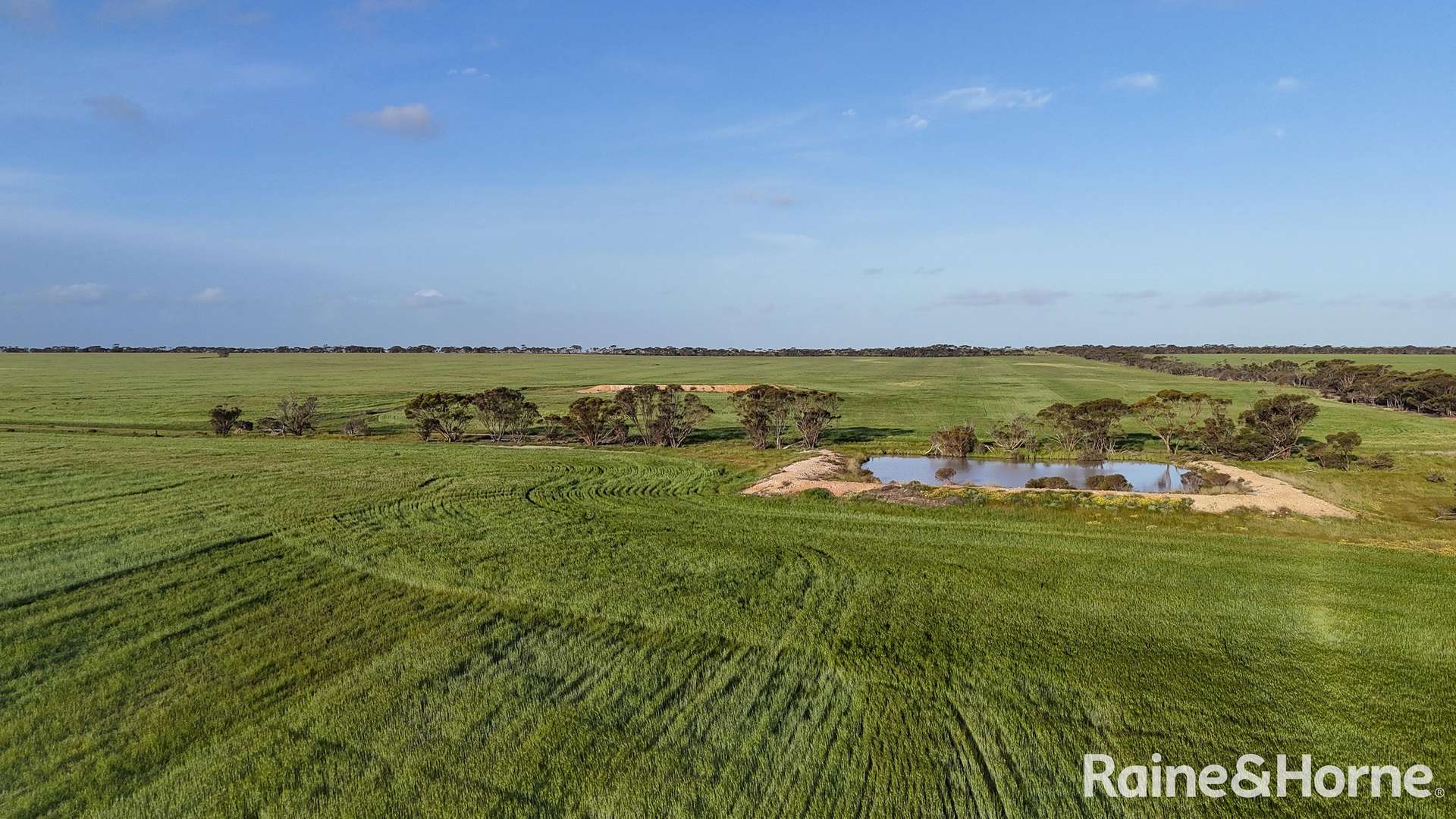 1417 Poverty Lane, Salmon Gums For Sale by Farmbuy.com - image 26