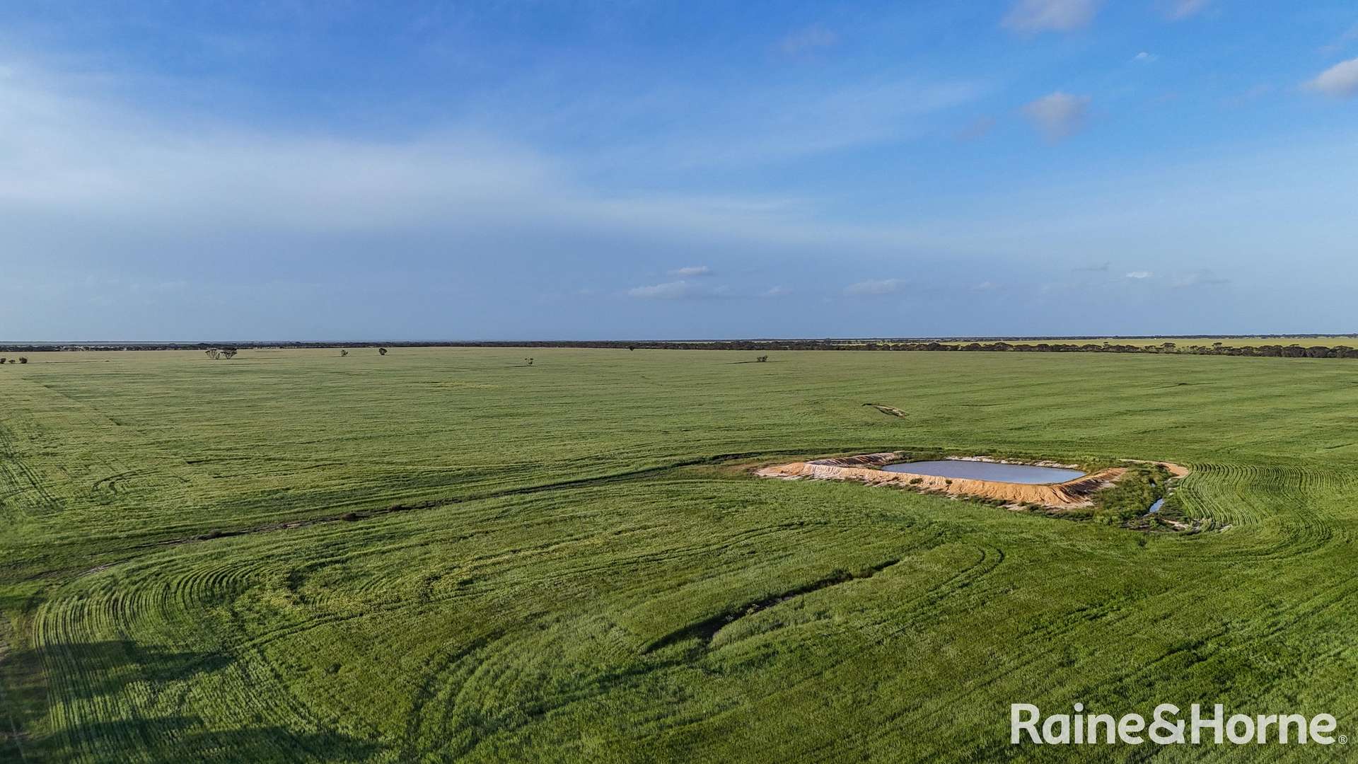 1417 Poverty Lane, Salmon Gums For Sale by Farmbuy.com - image 28