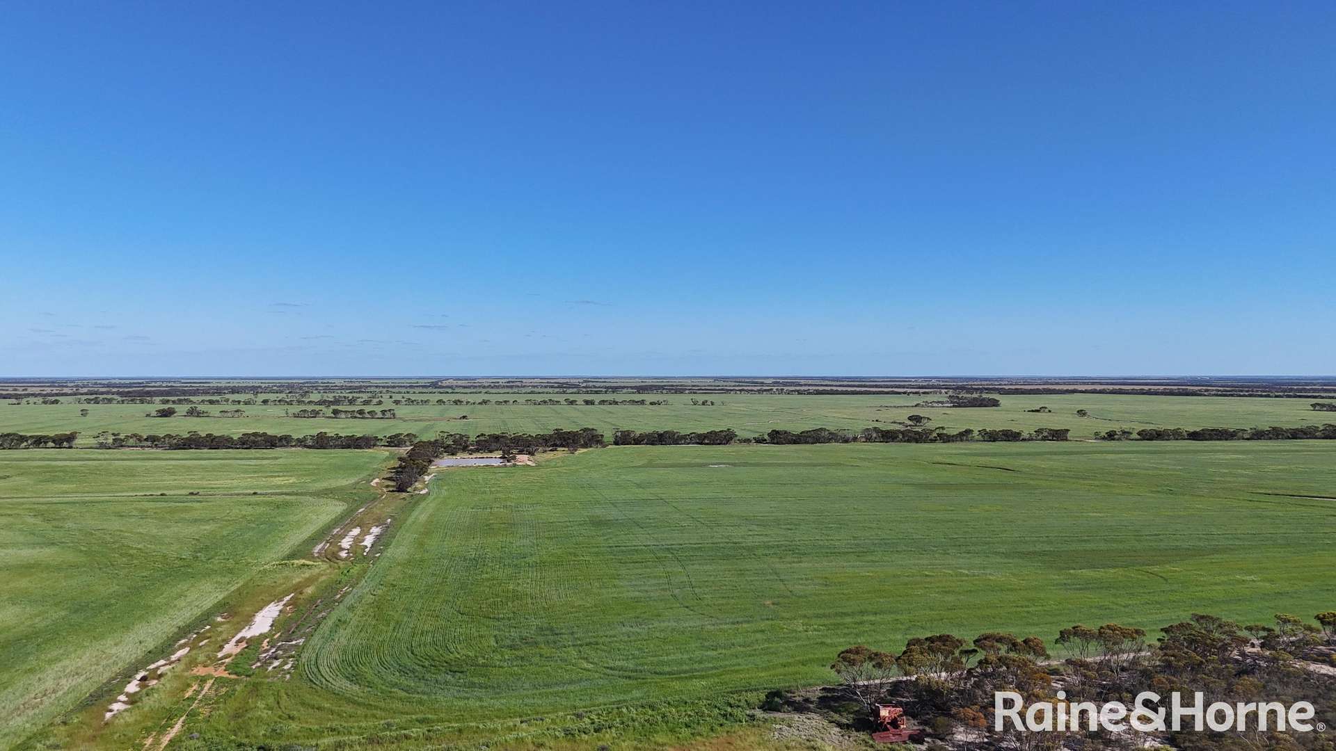 1417 Poverty Lane, Salmon Gums For Sale by Farmbuy.com - image 9