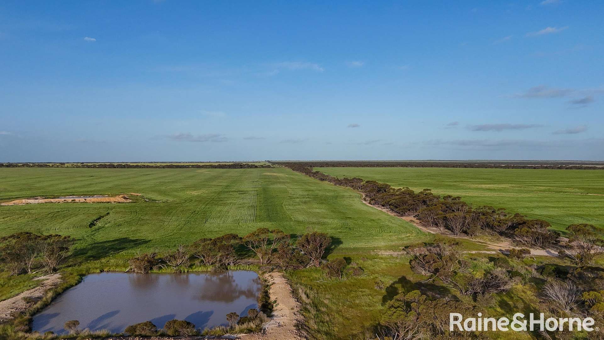 1417 Poverty Lane, Salmon Gums For Sale by Farmbuy.com - image 30