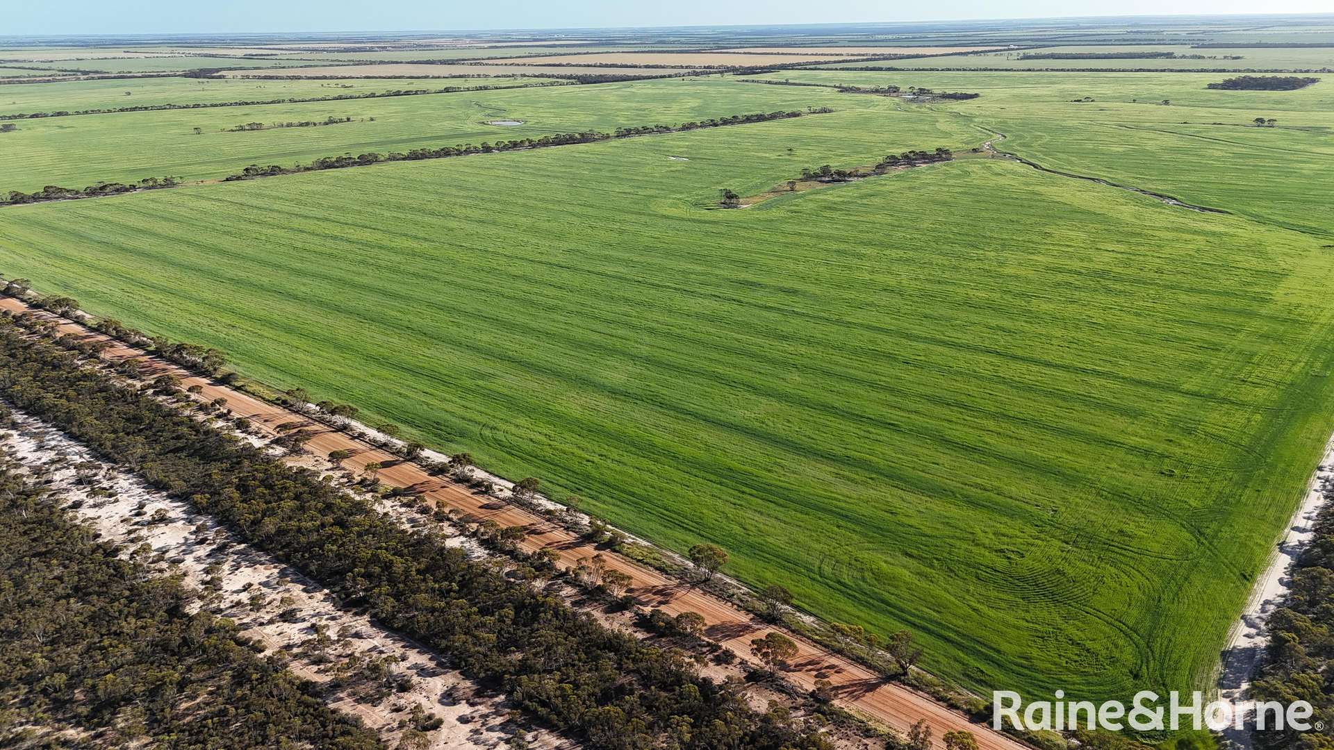 1417 Poverty Lane, Salmon Gums For Sale by Farmbuy.com - image 27