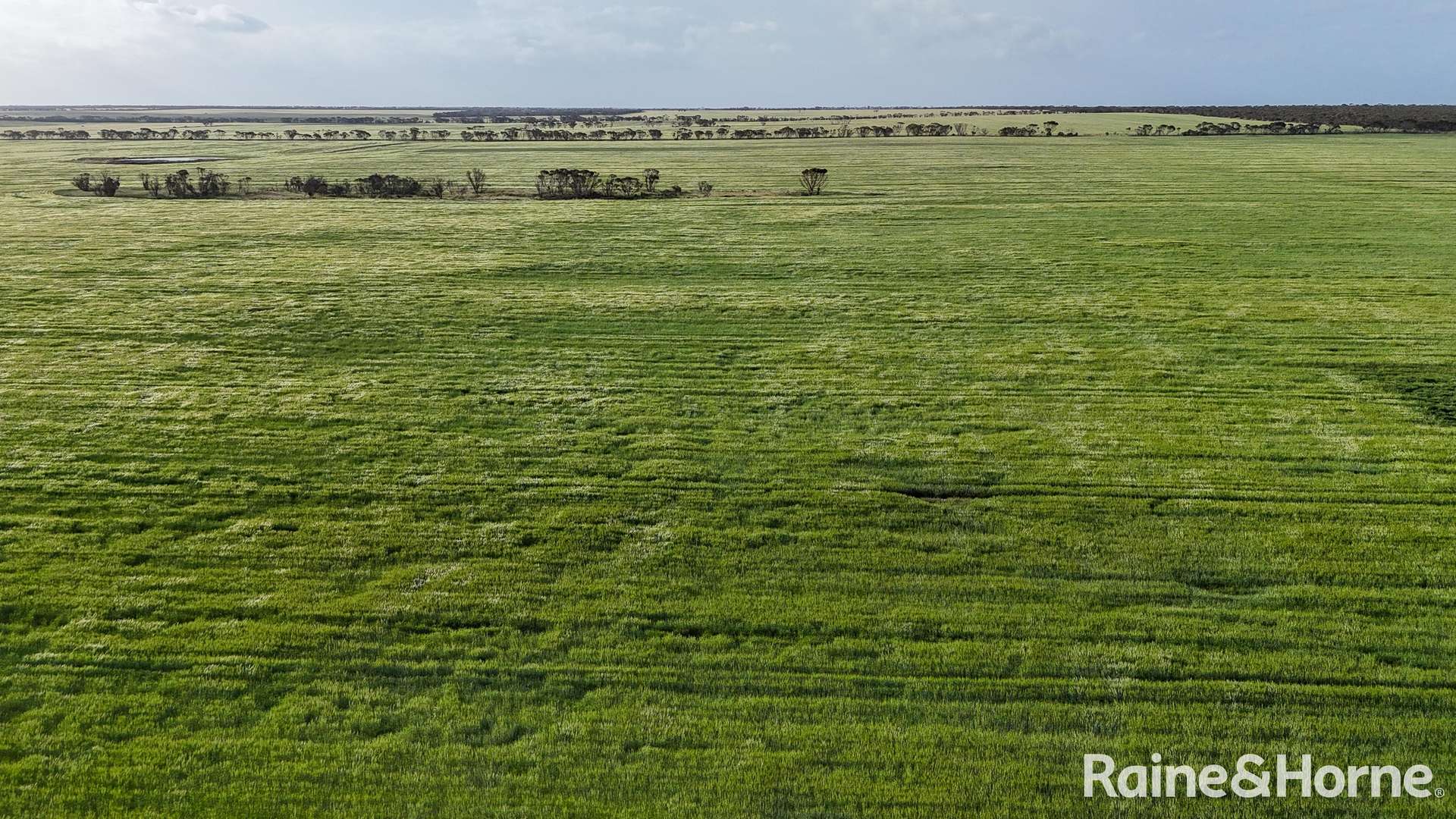 1417 Poverty Lane, Salmon Gums For Sale by Farmbuy.com - image 18