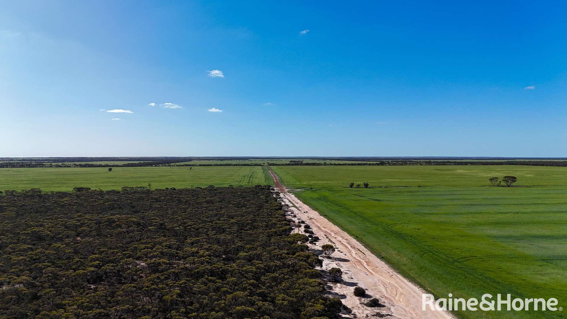 1417 Poverty Lane, Salmon Gums For Sale by Farmbuy.com - image 16
