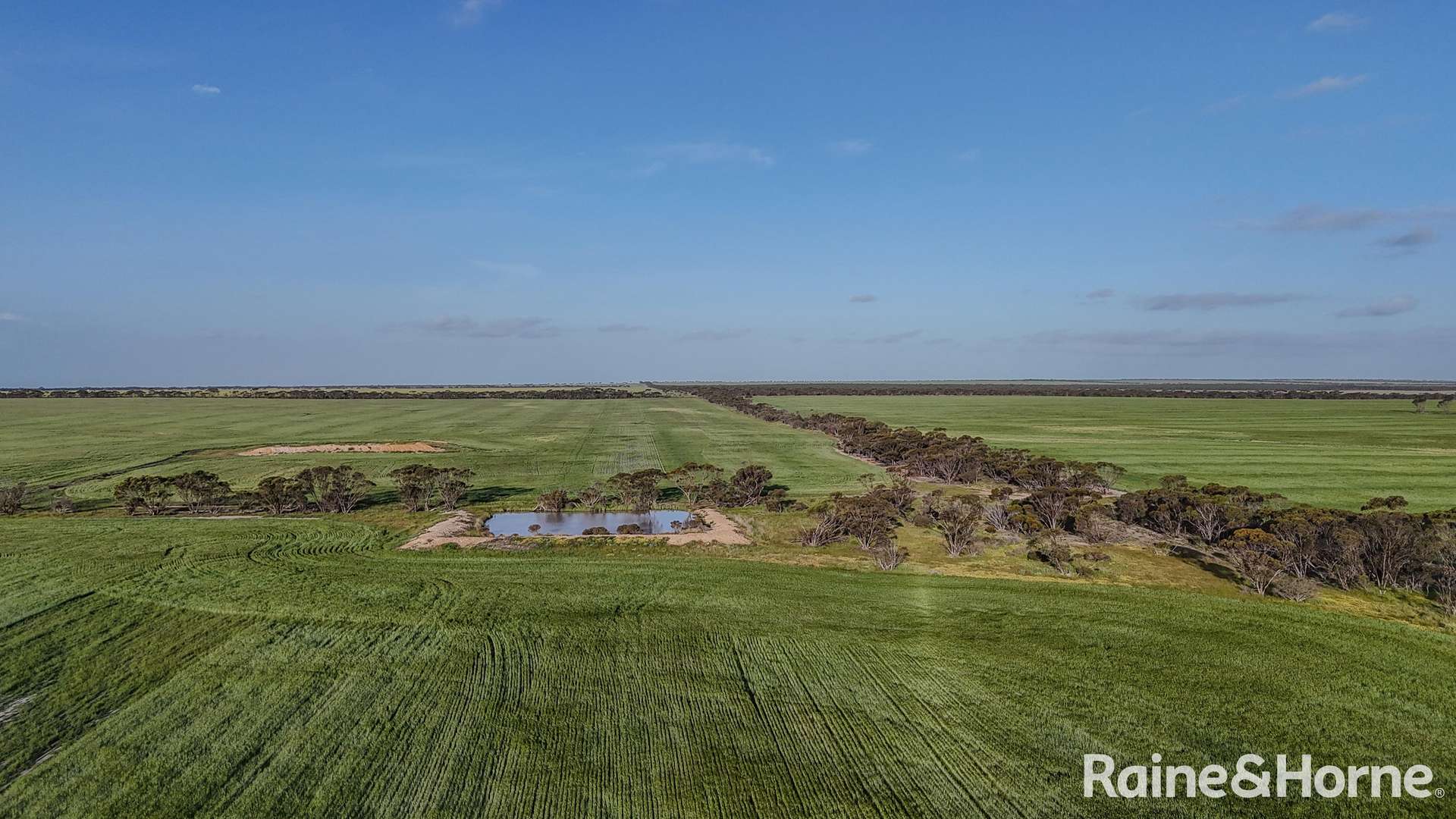 1417 Poverty Lane, Salmon Gums For Sale by Farmbuy.com - image 29