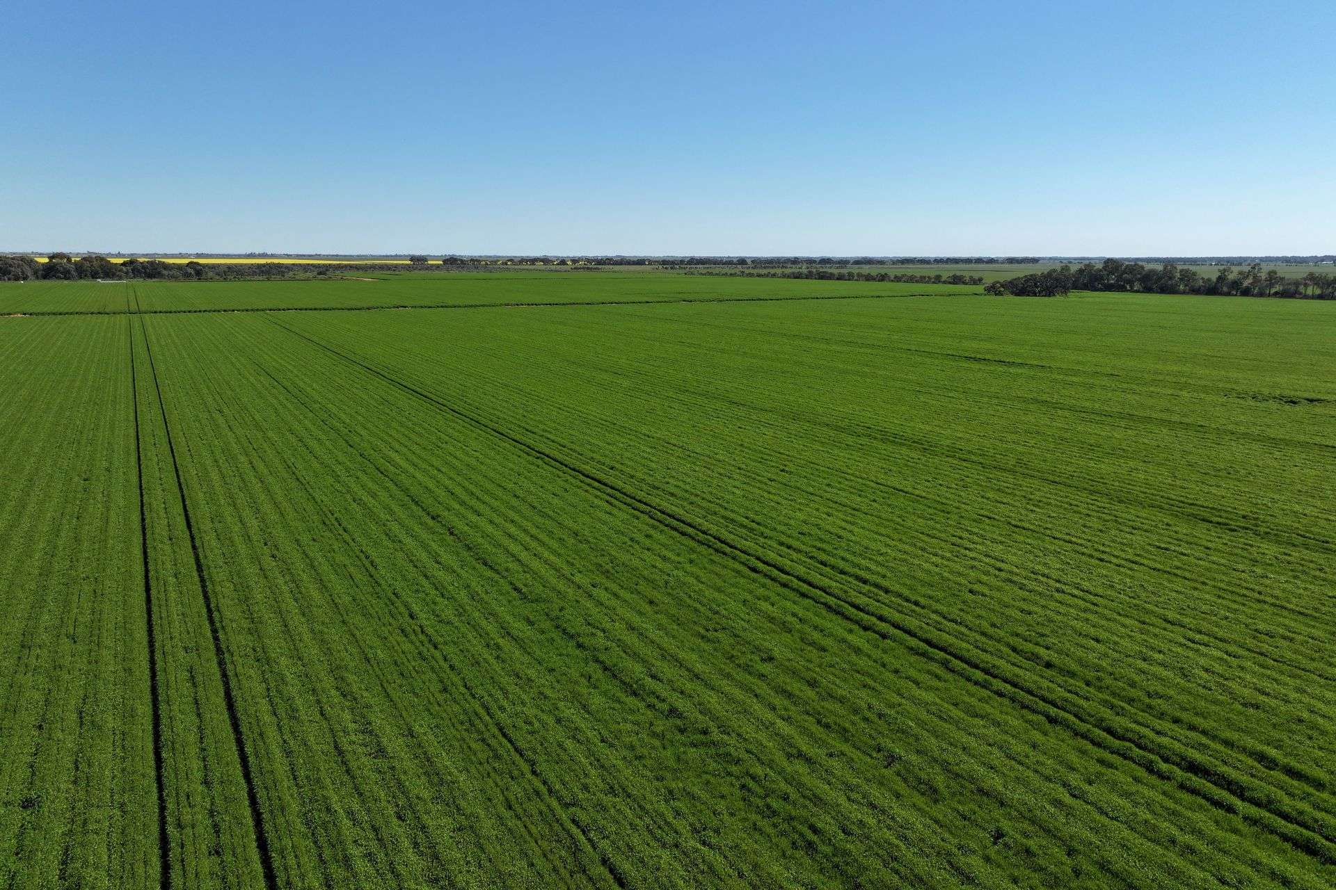 1630 Winlaton Road, Winlaton For Sale by Farmbuy.com - image 29