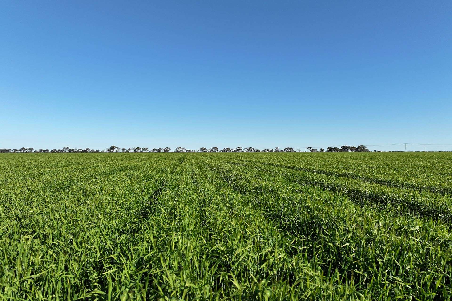1630 Winlaton Road, Winlaton For Sale by Farmbuy.com - image 12