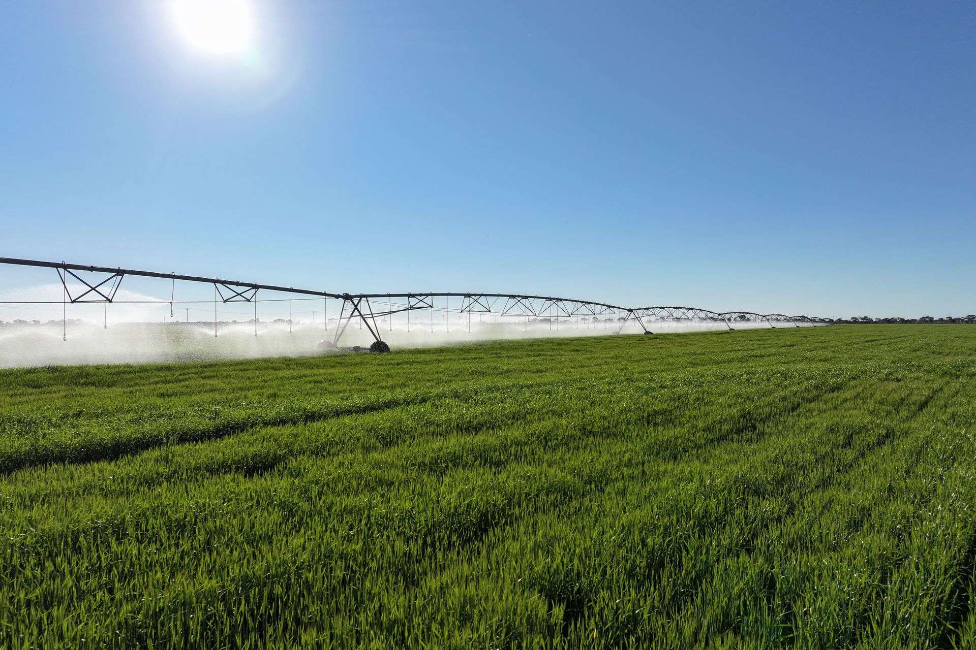 1630 Winlaton Road, Winlaton For Sale by Farmbuy.com - image 8