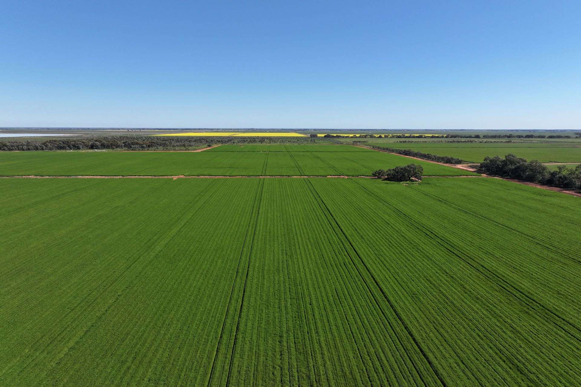 1630 Winlaton Road, Winlaton For Sale by Farmbuy.com - image 28