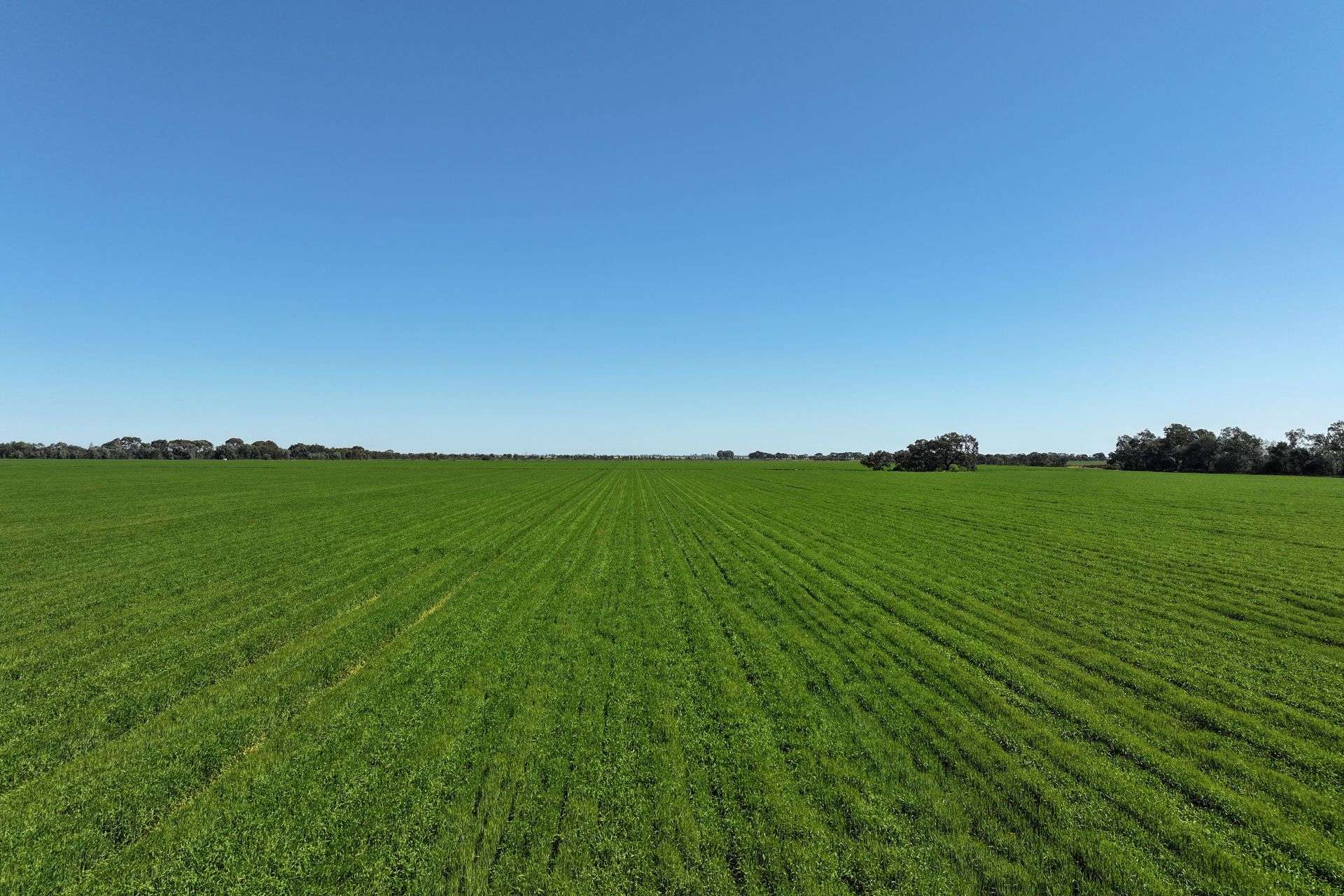 1630 Winlaton Road, Winlaton For Sale by Farmbuy.com - image 26