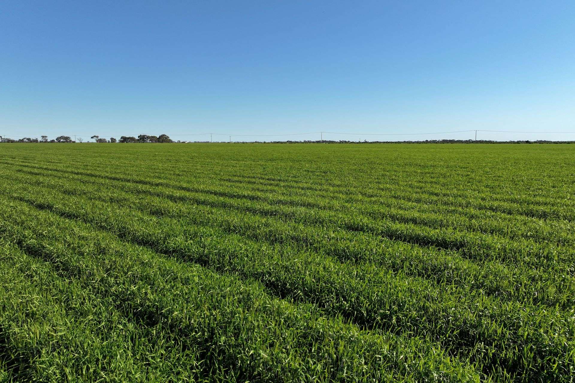 1630 Winlaton Road, Winlaton For Sale by Farmbuy.com - image 22