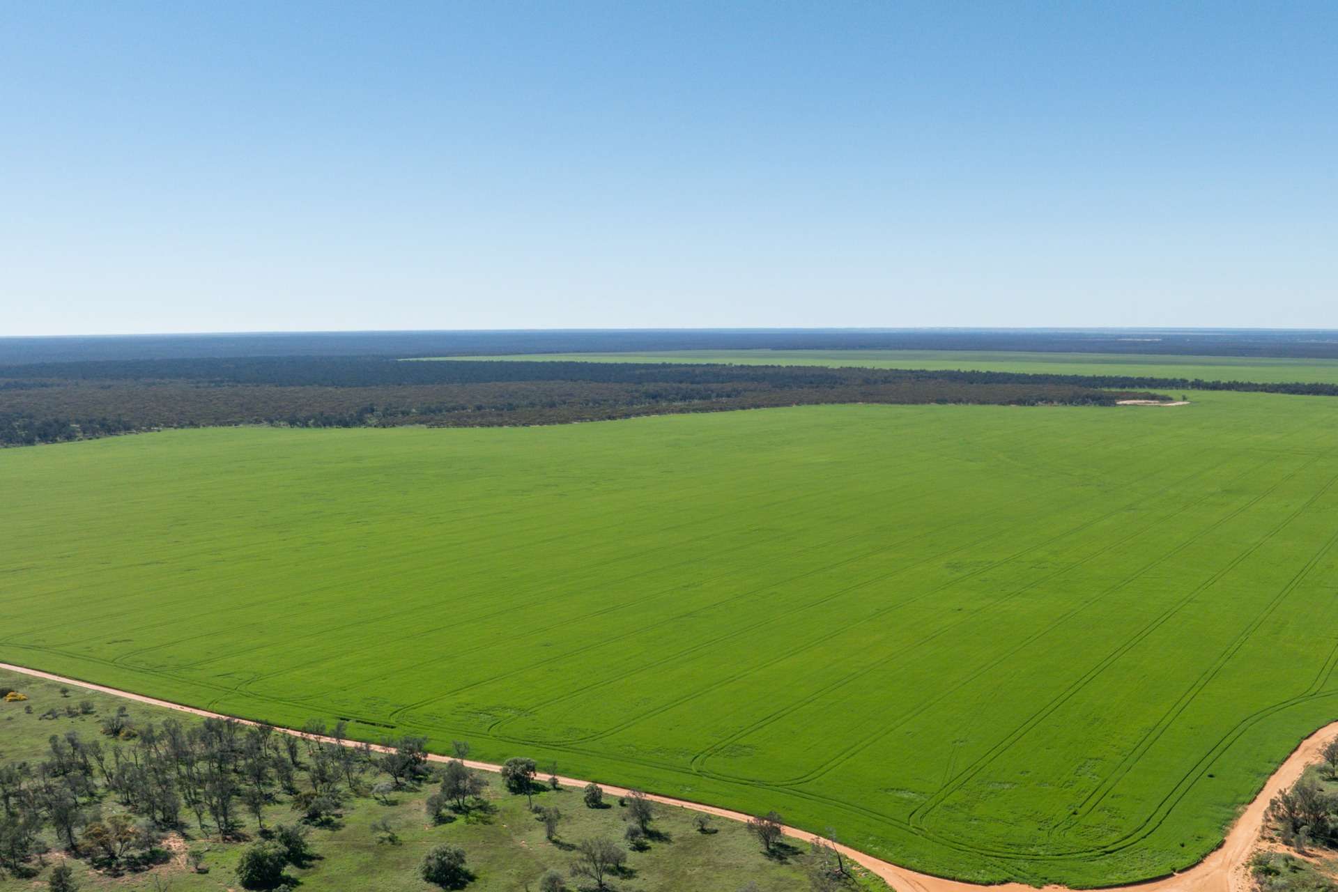2483 Petro Mail Road, Arumpo For Sale by Farmbuy.com - image 5