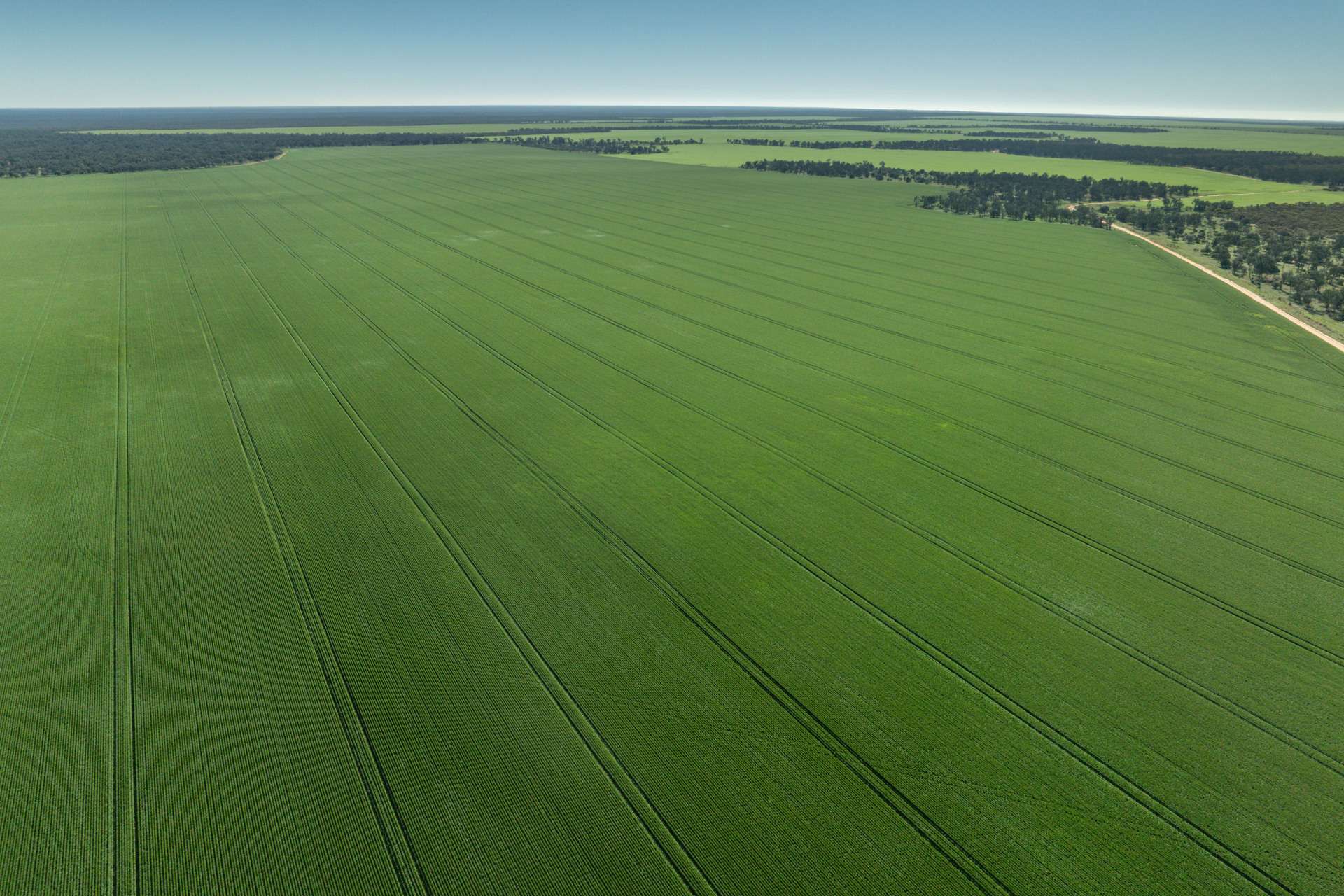 2483 Petro Mail Road, Arumpo For Sale by Farmbuy.com - image 1