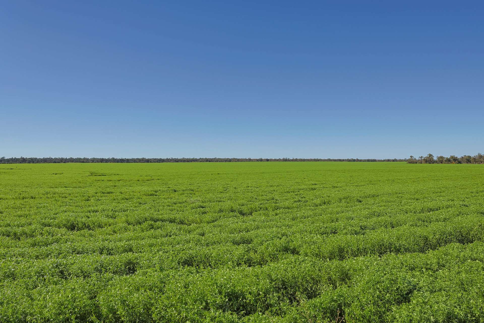 2483 Petro Mail Road, Arumpo For Sale by Farmbuy.com - image 17
