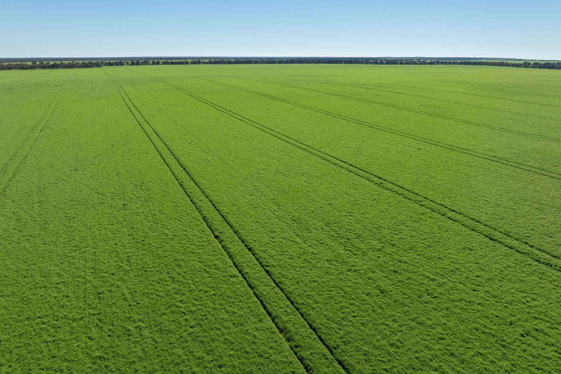 2483 Petro Mail Road, Arumpo For Sale by Farmbuy.com - image 18