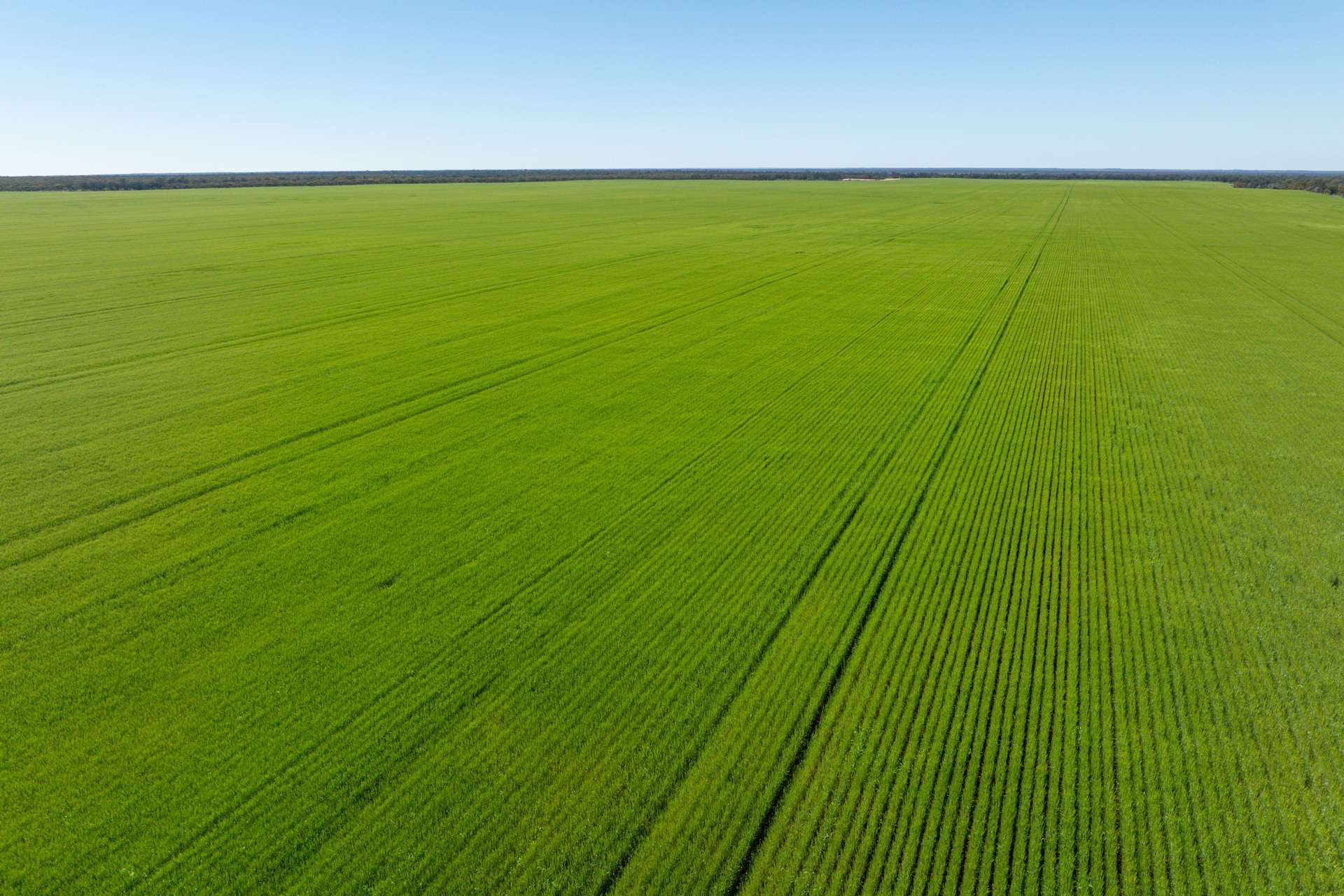 2483 Petro Mail Road, Arumpo For Sale by Farmbuy.com - image 13