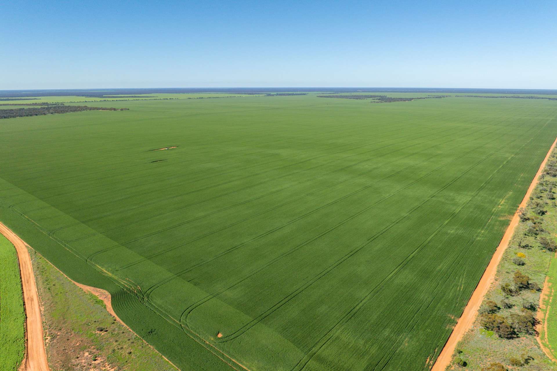 2483 Petro Mail Road, Arumpo For Sale by Farmbuy.com - image 10