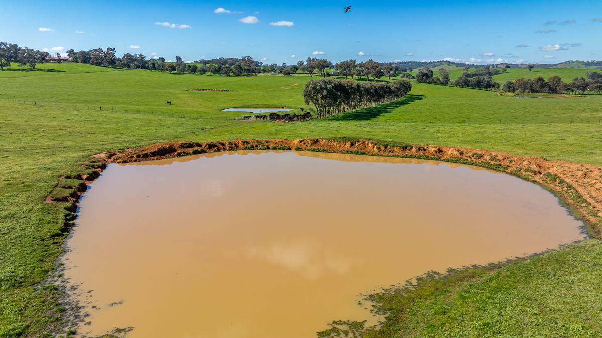 295 Hovell Road, Bungowannah For Sale by Farmbuy.com - image 11