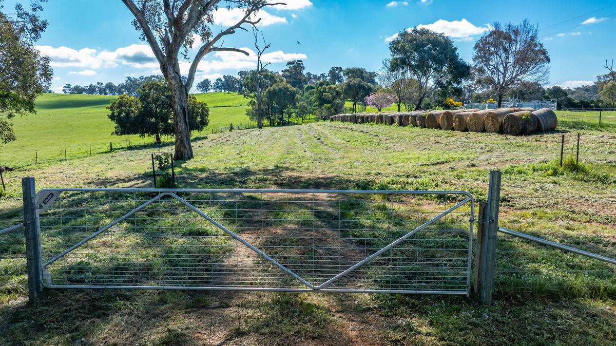 295 Hovell Road, Bungowannah For Sale by Farmbuy.com - image 23