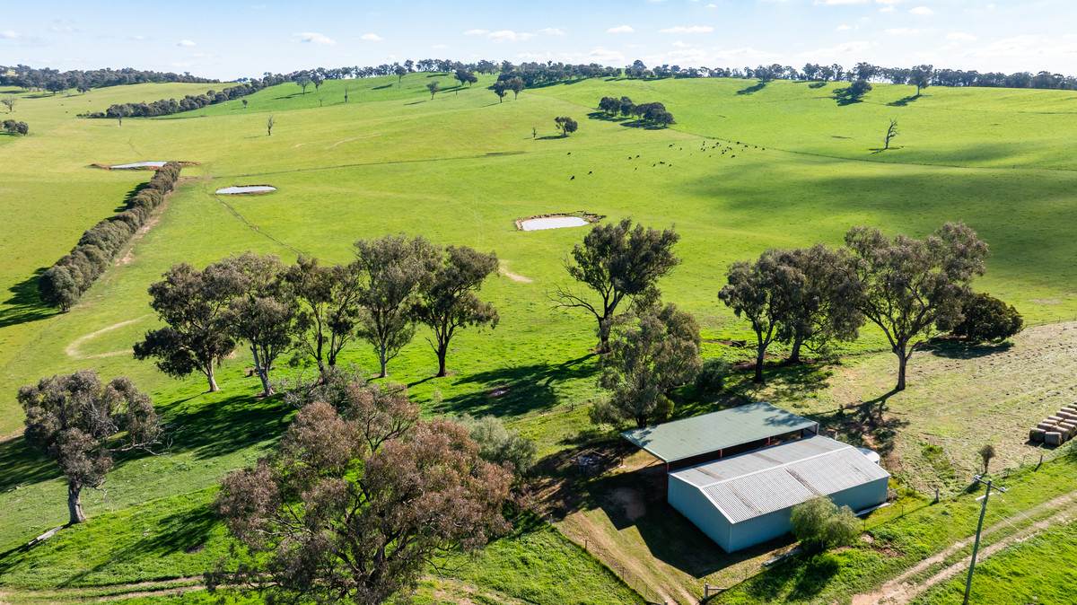295 Hovell Road, Bungowannah For Sale by Farmbuy.com - image 14