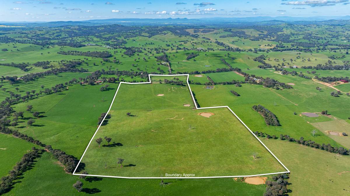 295 Hovell Road, Bungowannah For Sale by Farmbuy.com - image 28