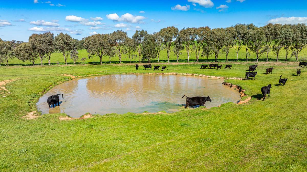 295 Hovell Road, Bungowannah For Sale by Farmbuy.com - image 24