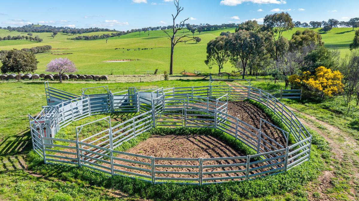 295 Hovell Road, Bungowannah For Sale by Farmbuy.com - image 21
