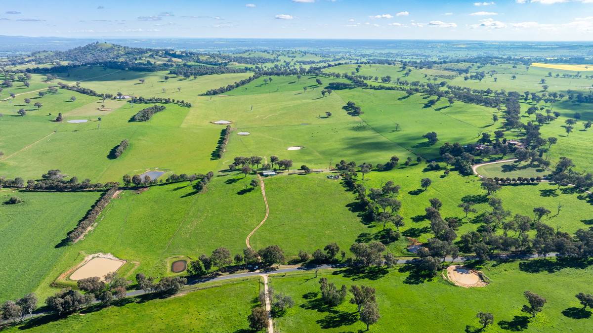 295 Hovell Road, Bungowannah For Sale by Farmbuy.com - image 5