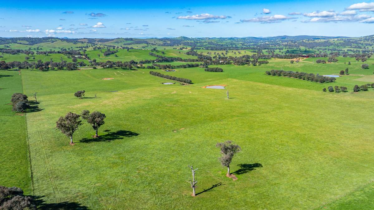 295 Hovell Road, Bungowannah For Sale by Farmbuy.com - image 27