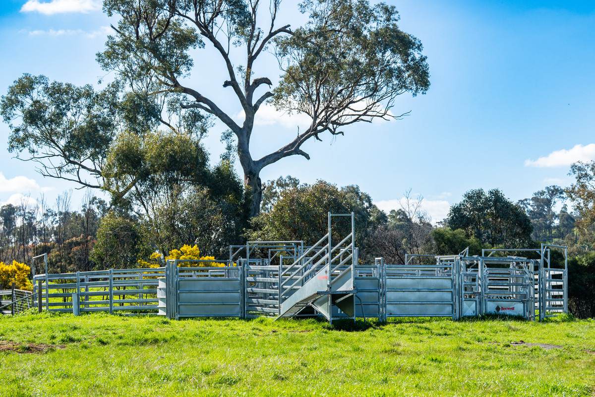 295 Hovell Road, Bungowannah For Sale by Farmbuy.com - image 19