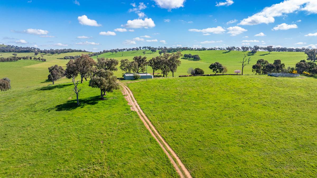 295 Hovell Road, Bungowannah For Sale by Farmbuy.com - image 8