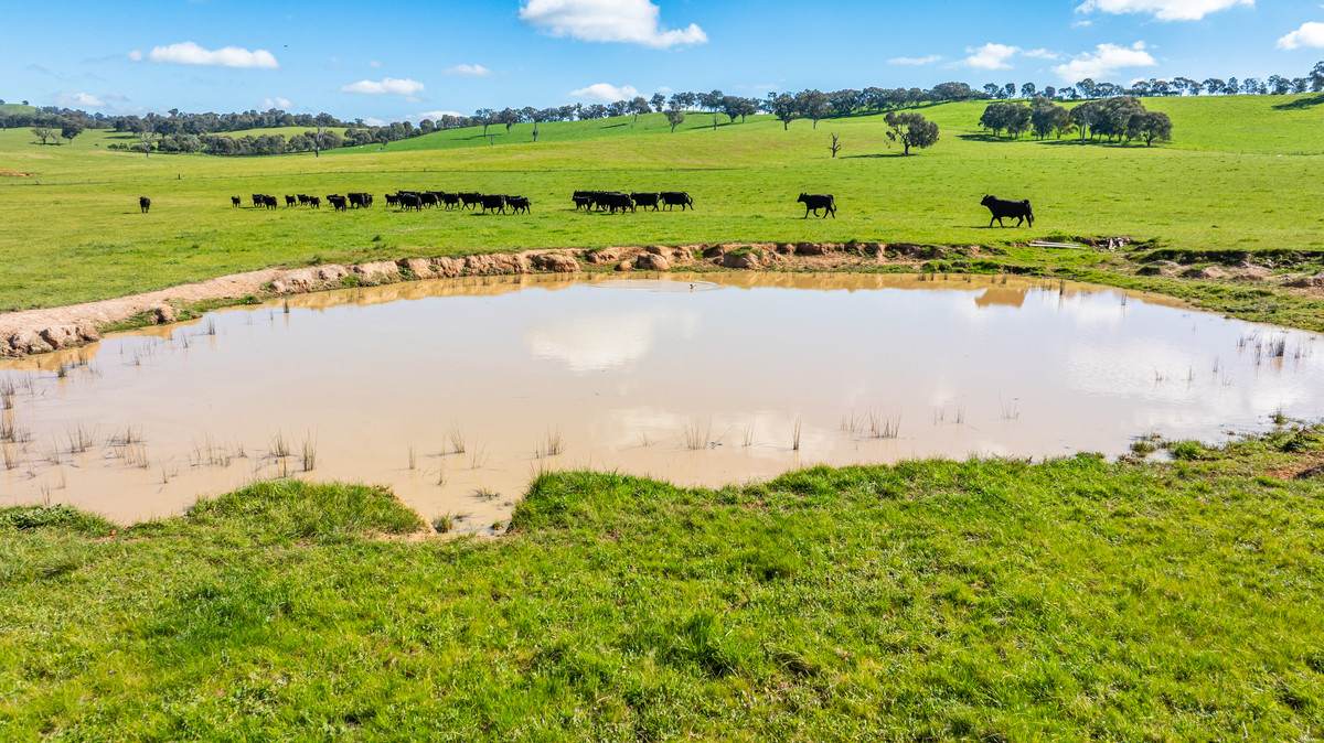 295 Hovell Road, Bungowannah For Sale by Farmbuy.com - image 10