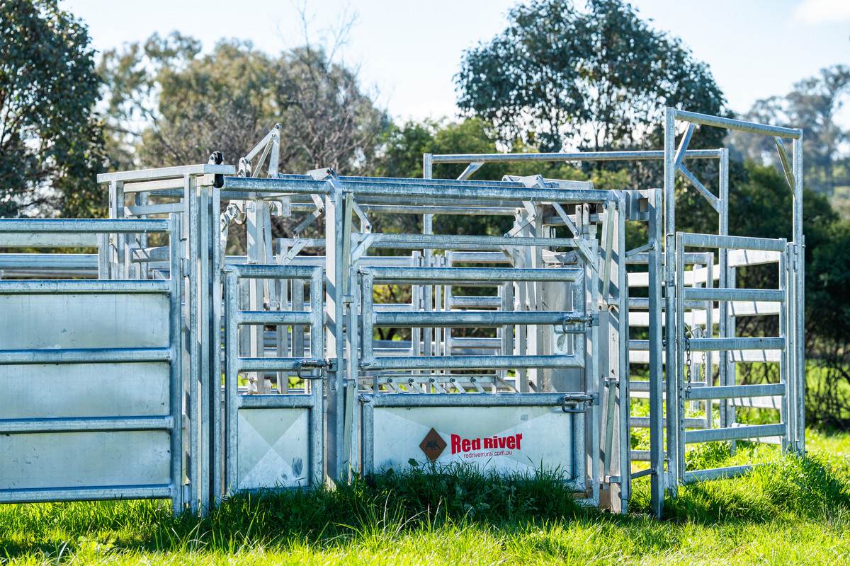 295 Hovell Road, Bungowannah For Sale by Farmbuy.com - image 20