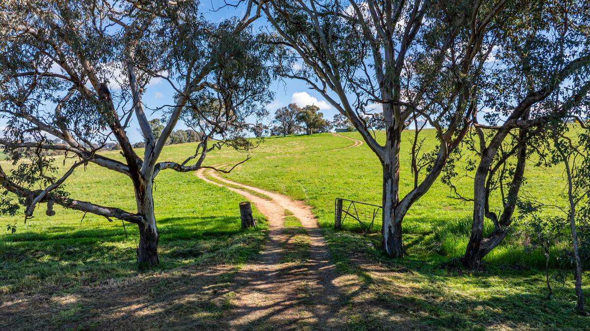 295 Hovell Road, Bungowannah For Sale by Farmbuy.com - image 7